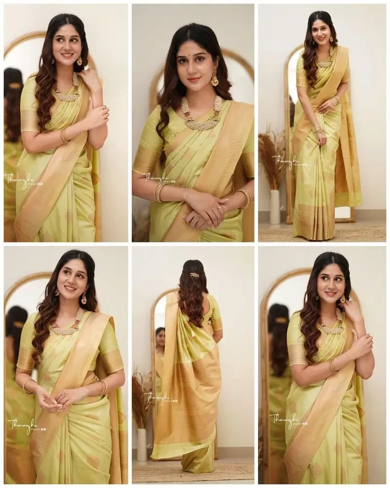 Soft Silk 6015 Lichi Silk Jacquard Worked Saree Collection - Image 11