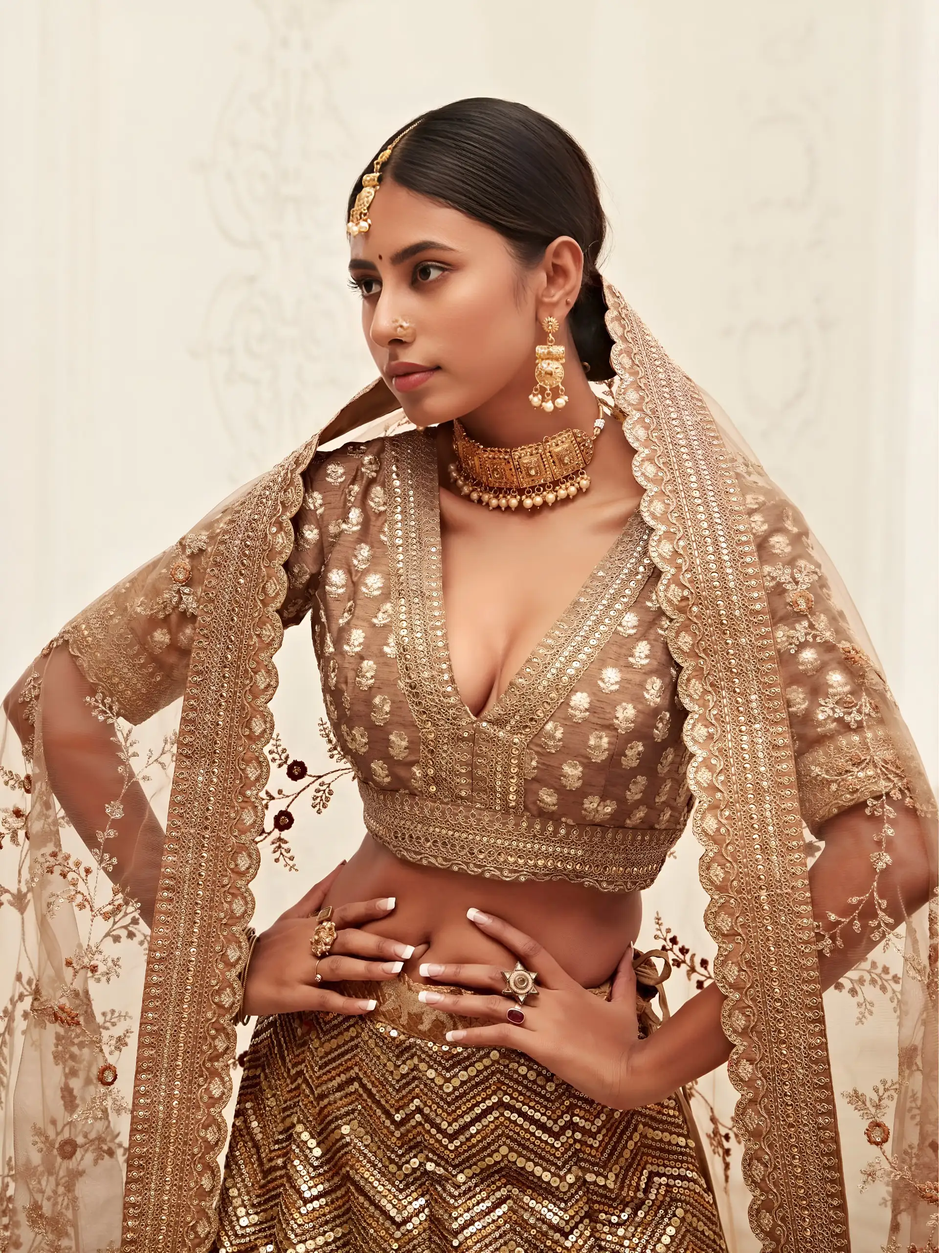 Champagne Gold Sequin Wedding Choli with Designer Blouse