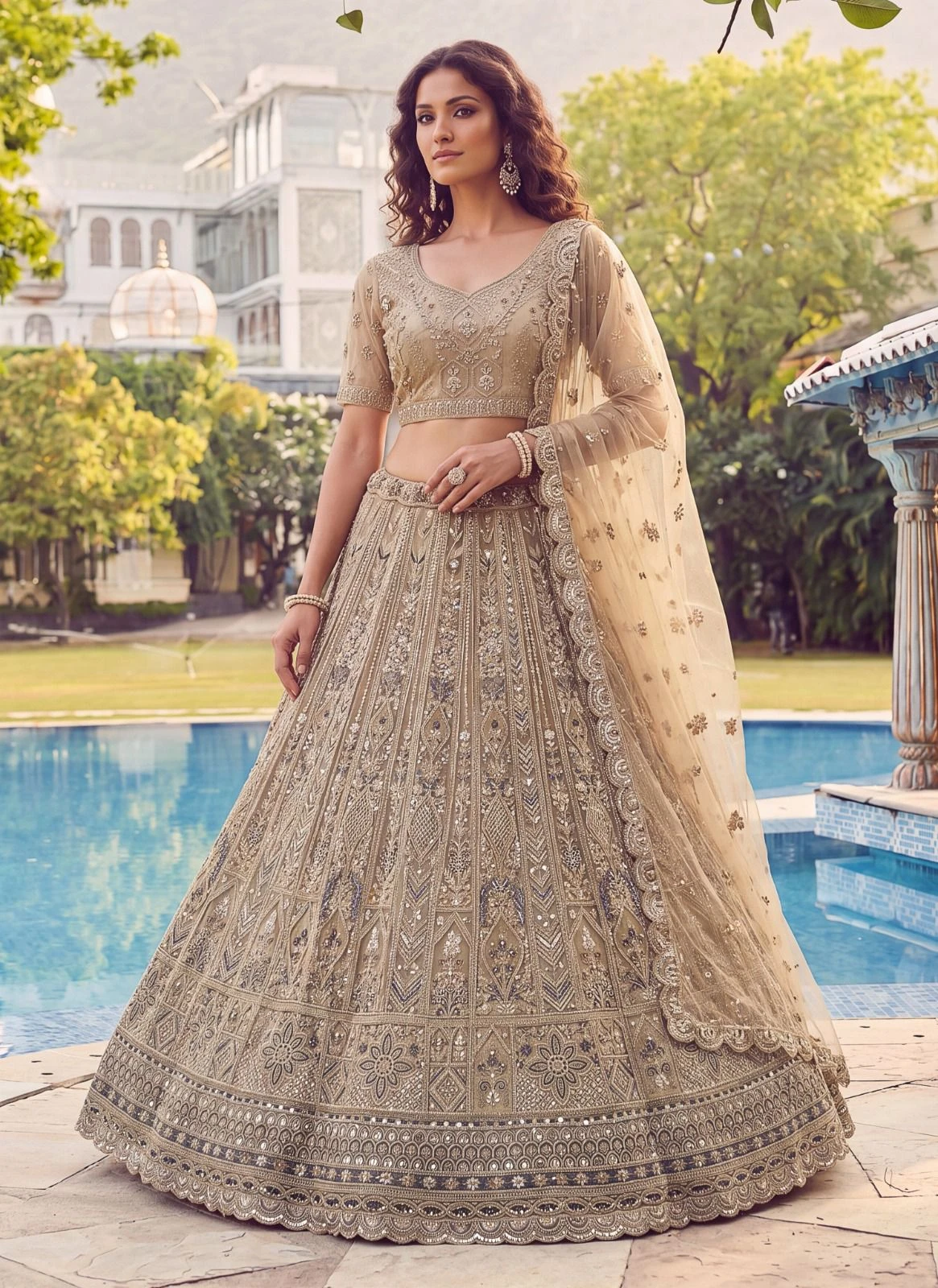 Designer Net Lehenga Choli 3020 Collection