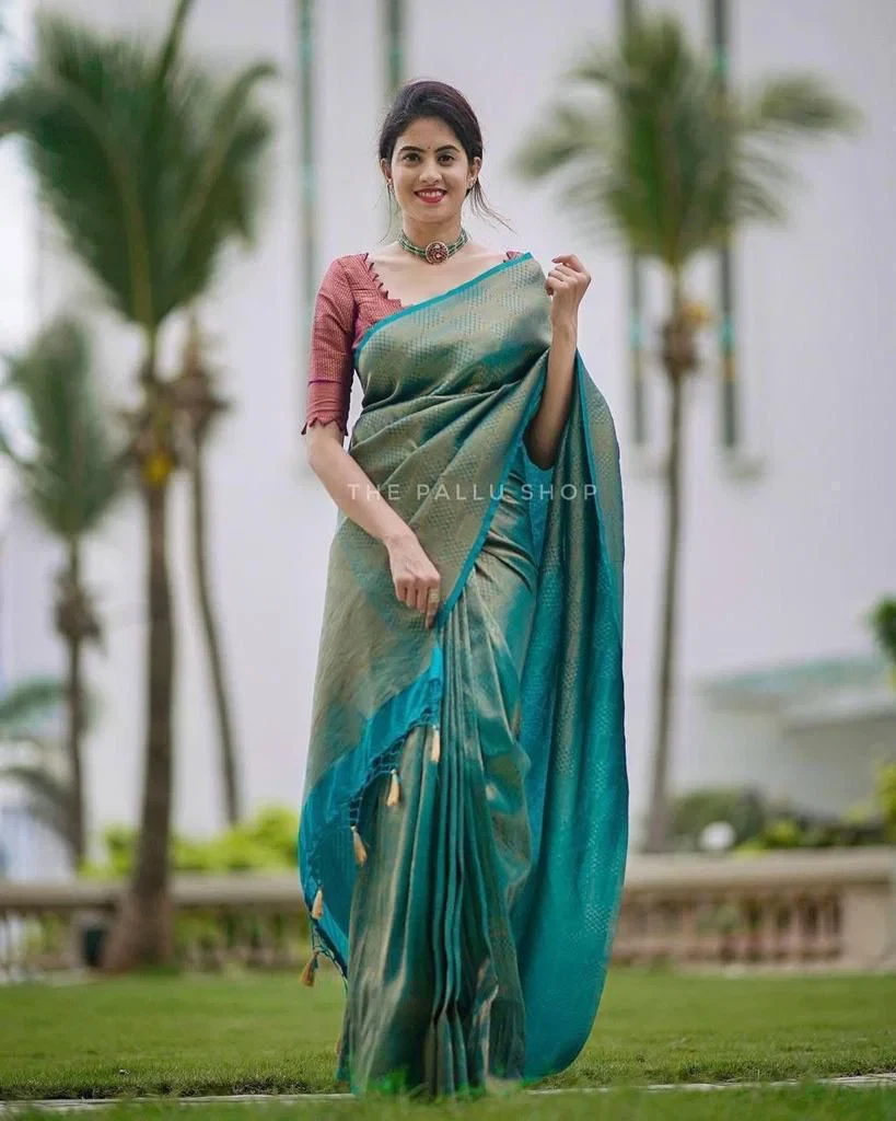 Soft Silk 4099 Lichi Silk with Jacquard Work Saree
