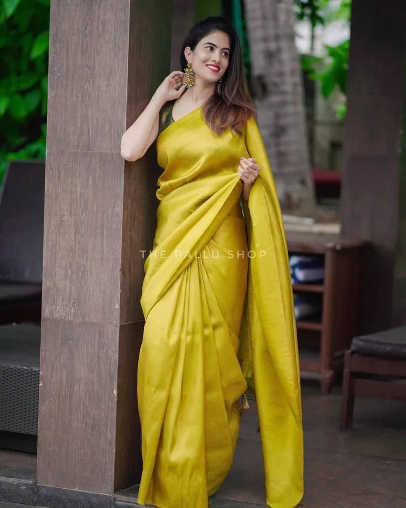 Soft Silk 4099 Lichi Silk with Jacquard Work Saree