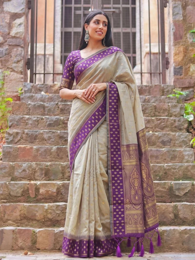 Ast Madhvi Cotton Vol 2 Soft Cotton Silk Zari Border Saree Collection