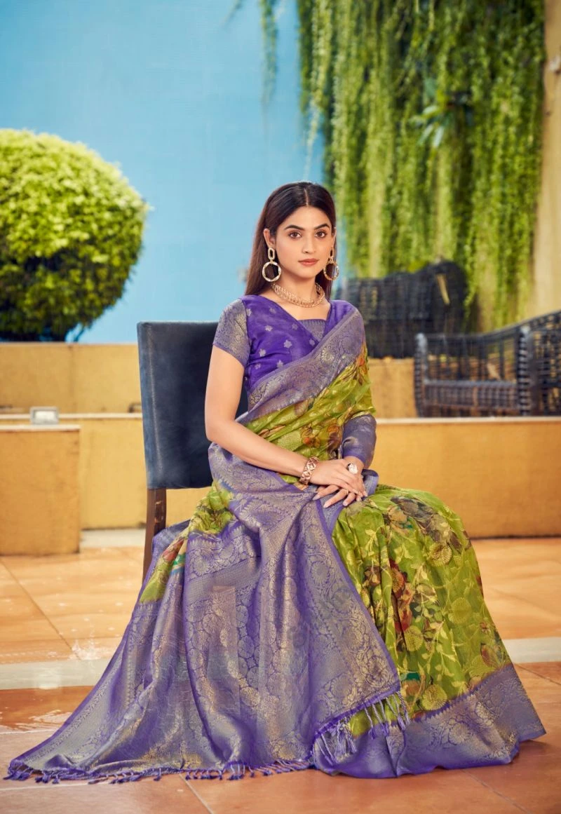 Kanta Pallu Soft Kanta Banarasi Silk Saree Collection 2