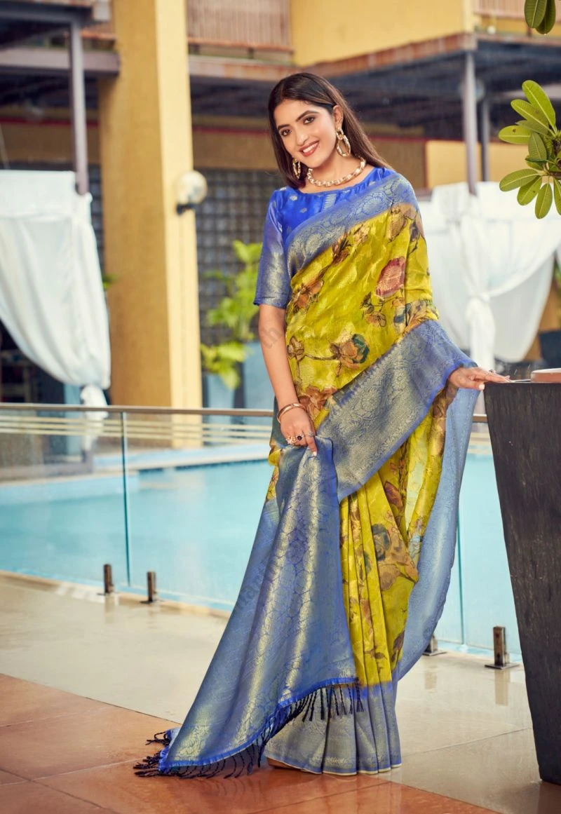 Kanta Pallu Soft Kanta Banarasi Silk Saree Collection 5