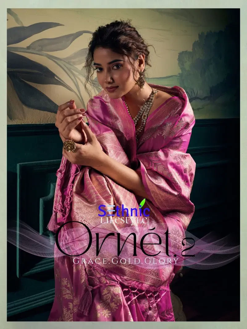 Sethnic Ornet Vol 2 Two Tone Banarasi Silk Zari Saree Collection