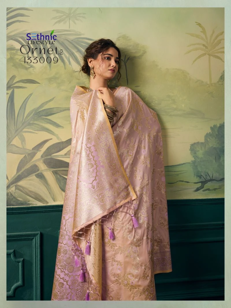 Sethnic Ornet Vol 2 Two Tone Banarasi Silk Zari Saree Collection