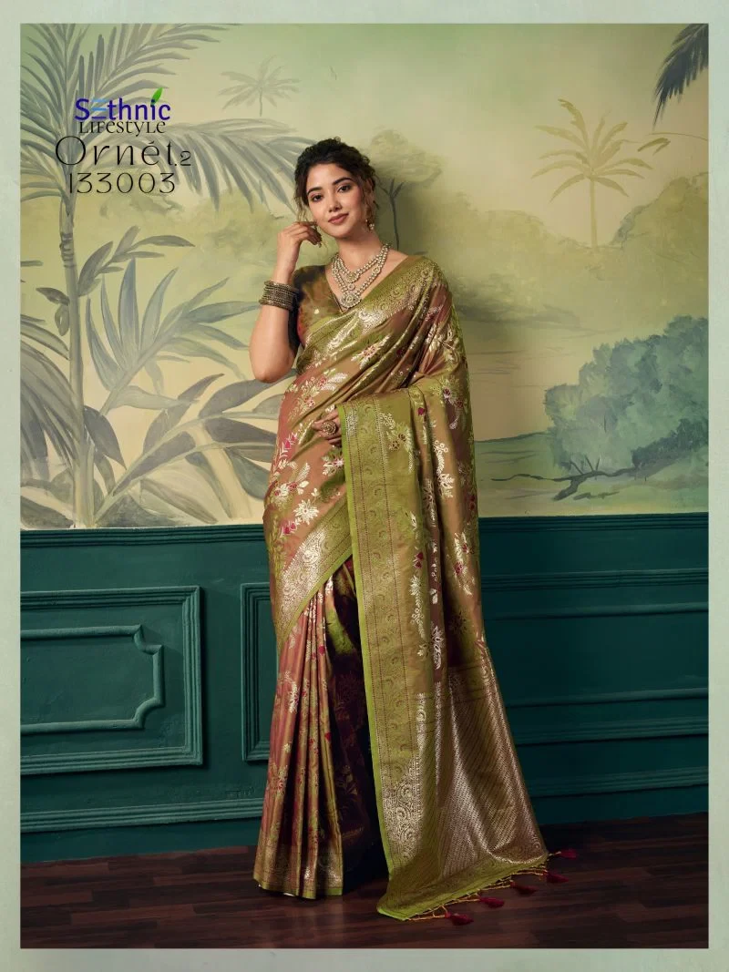 Sethnic Ornet Vol 2 Two Tone Banarasi Silk Zari Saree Collection