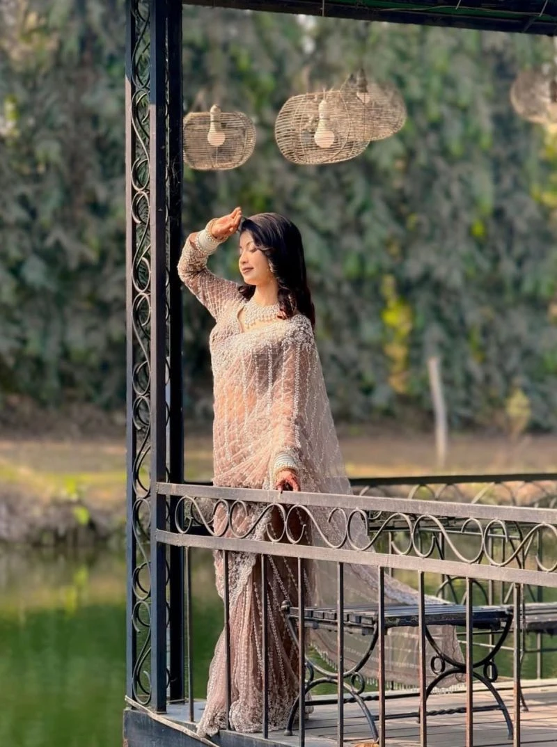 Ds Beed 1 Pure Soft Net Sequence Handworked Designer Saree 8