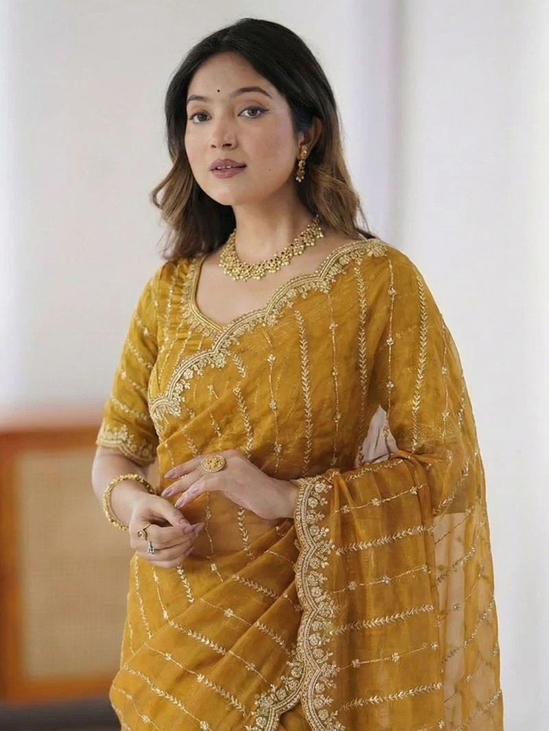 Em 20 Fandy Chiffon Embroidered Sequence Worked Saree