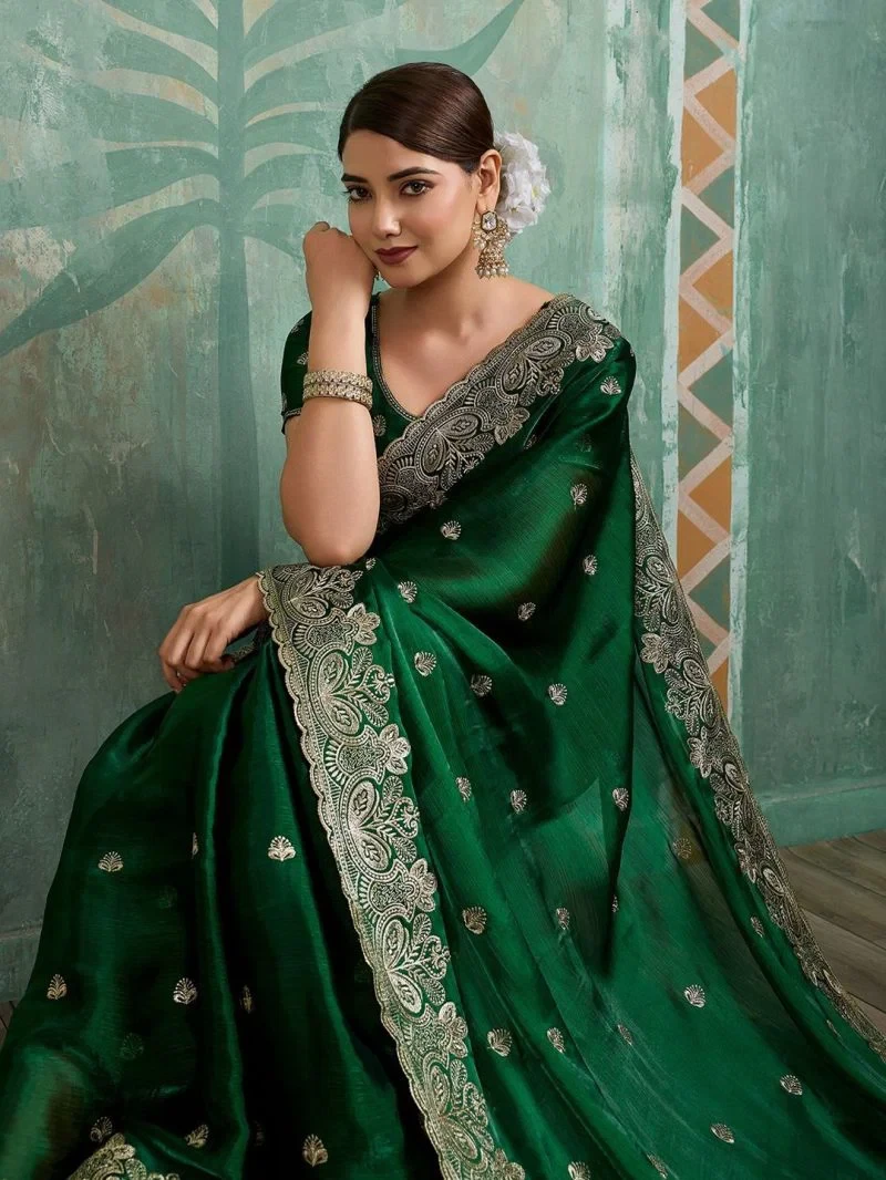Em 27 Chiffon Organza Motifs Embroidered Saree 3