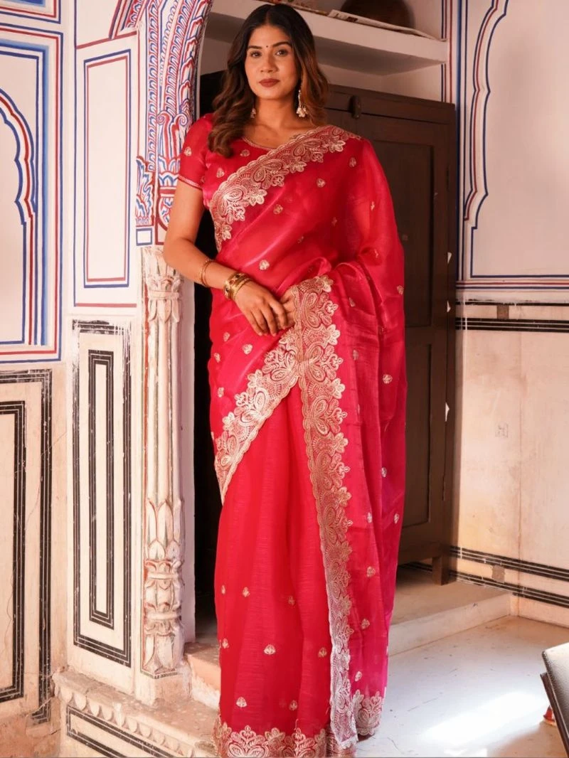 Em 27 Chiffon Organza Motifs Embroidered Saree 7