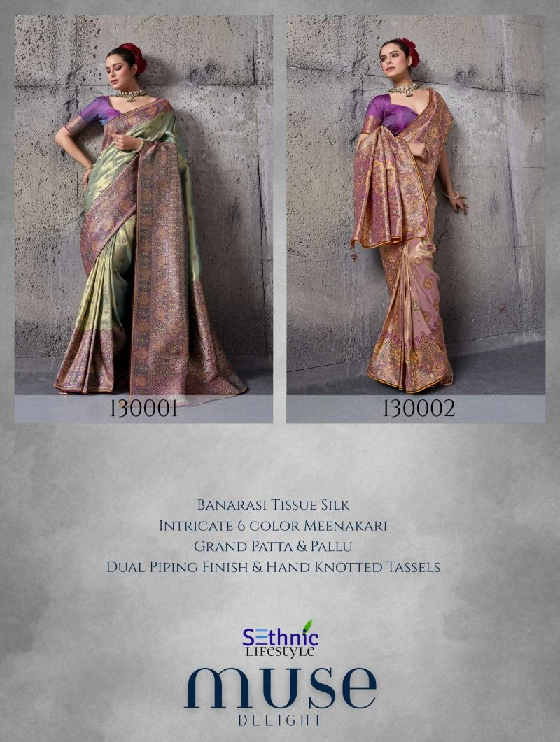 Sethnic Muse Delight Banarasi Tissue Silk Meenakari Patta Weaving Saree Collection 8
