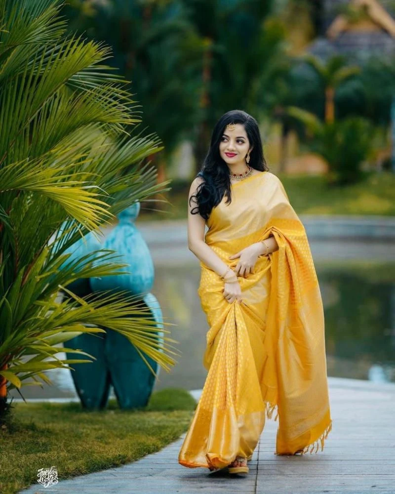 Soft Silk 3048 Lichi Silk Jacquard Work Saree Collection 5