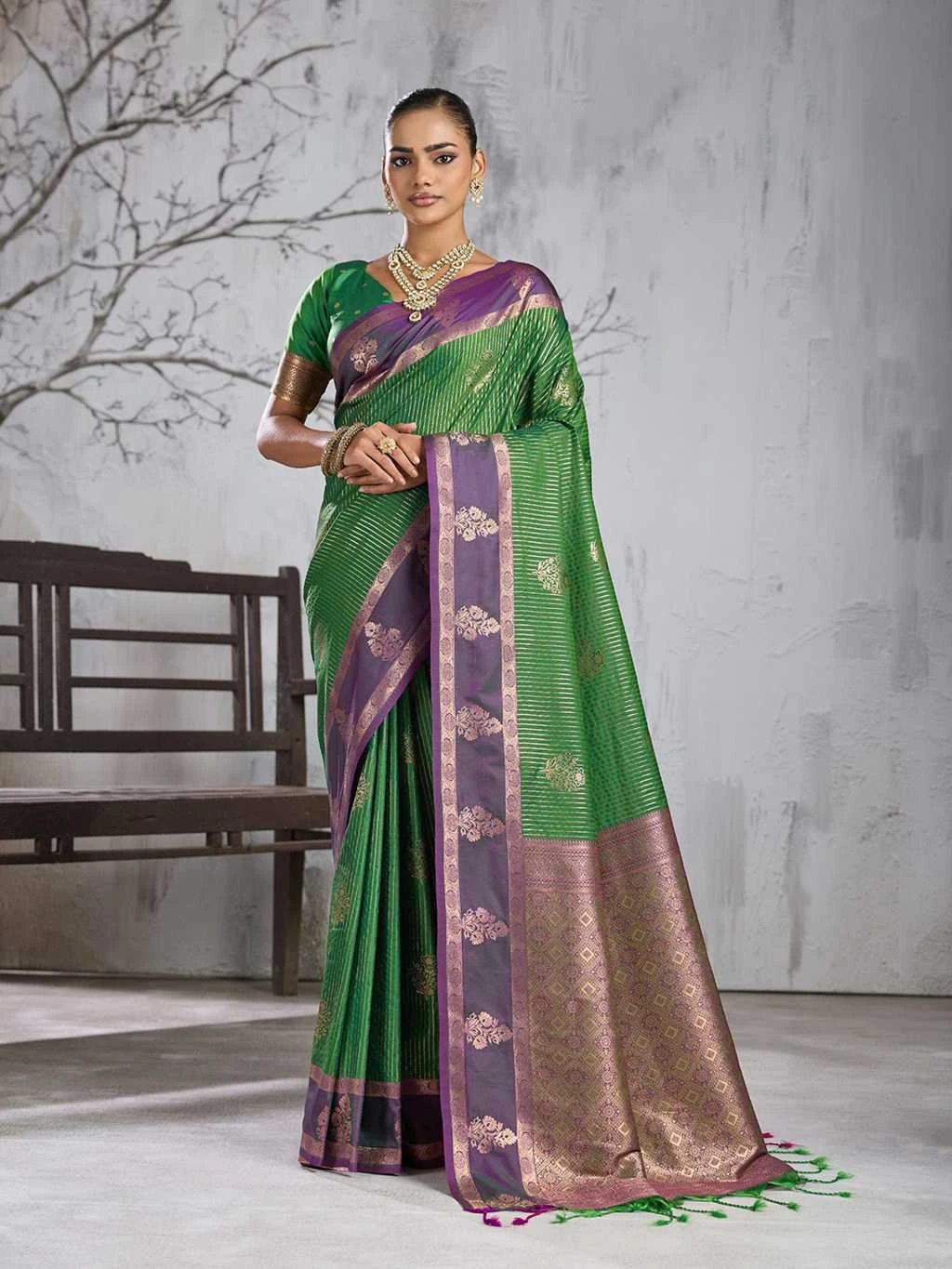 Astita Advika Silk 4