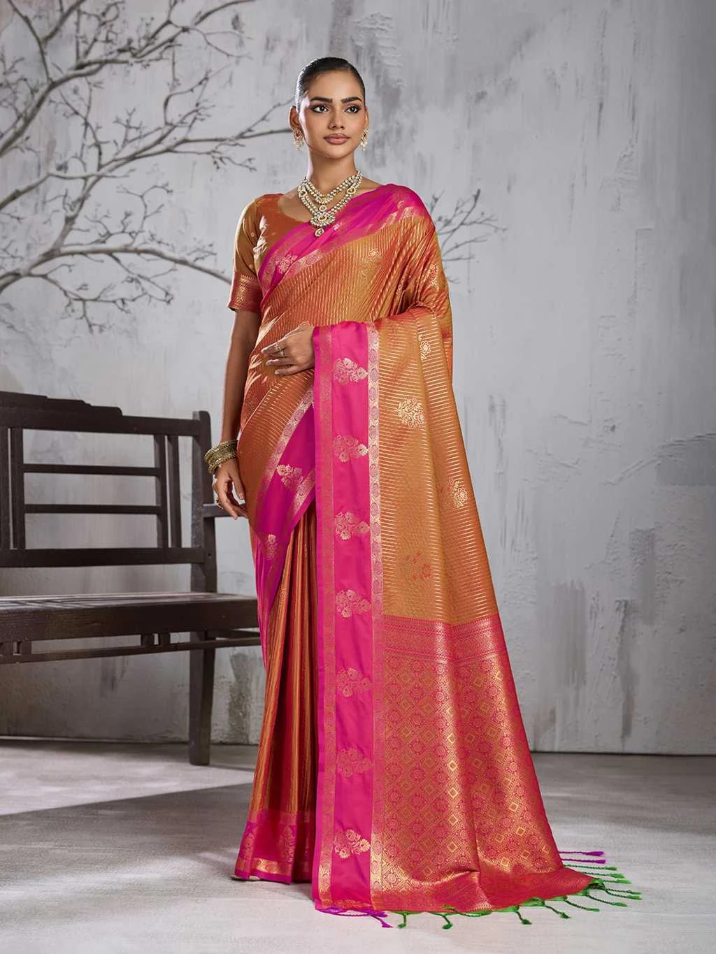 Astita Advika Silk 5