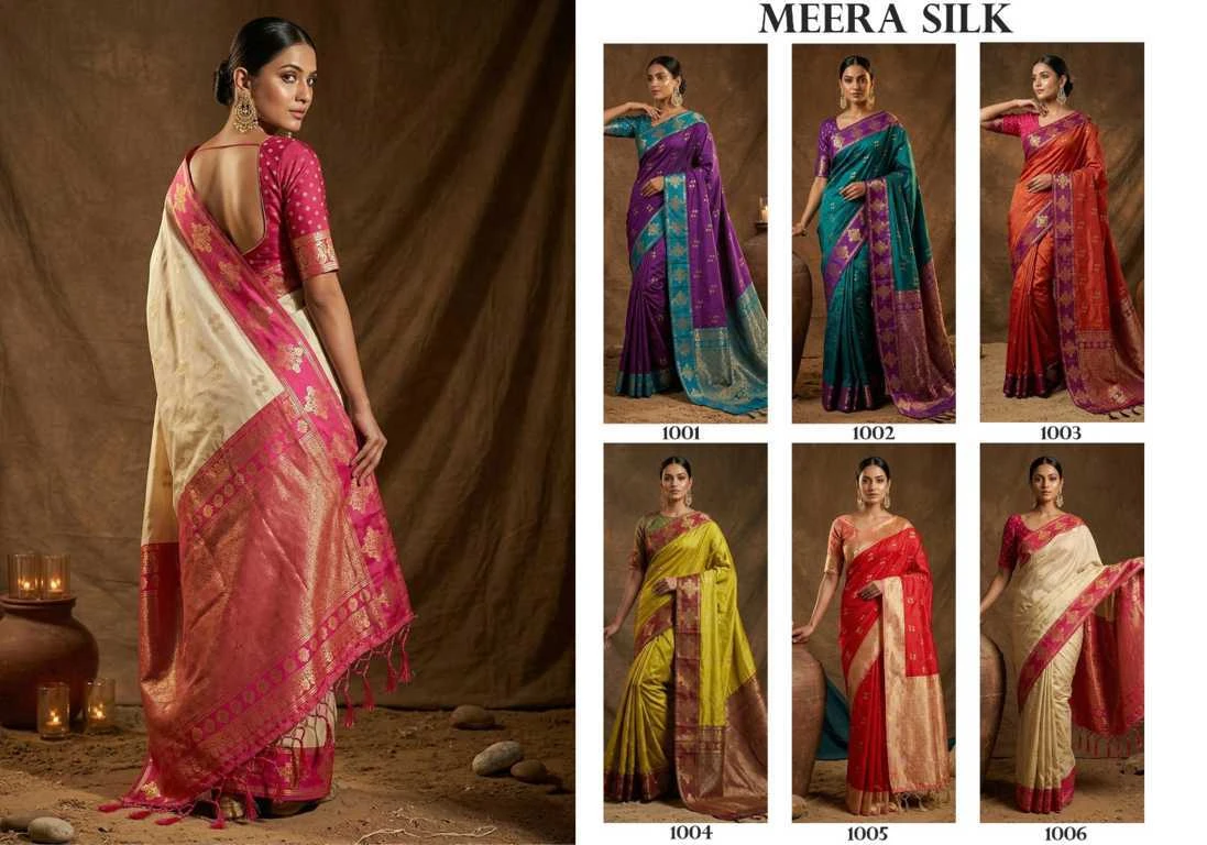 Astita Meera Silk 8