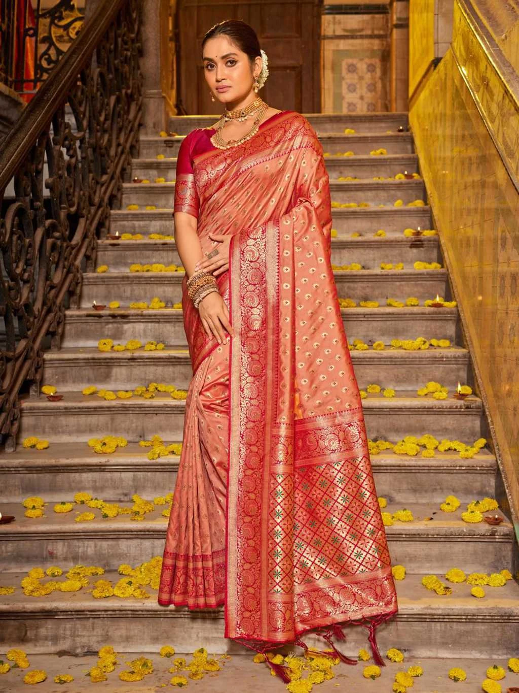 Astita Vaani Banarasi Silk 5