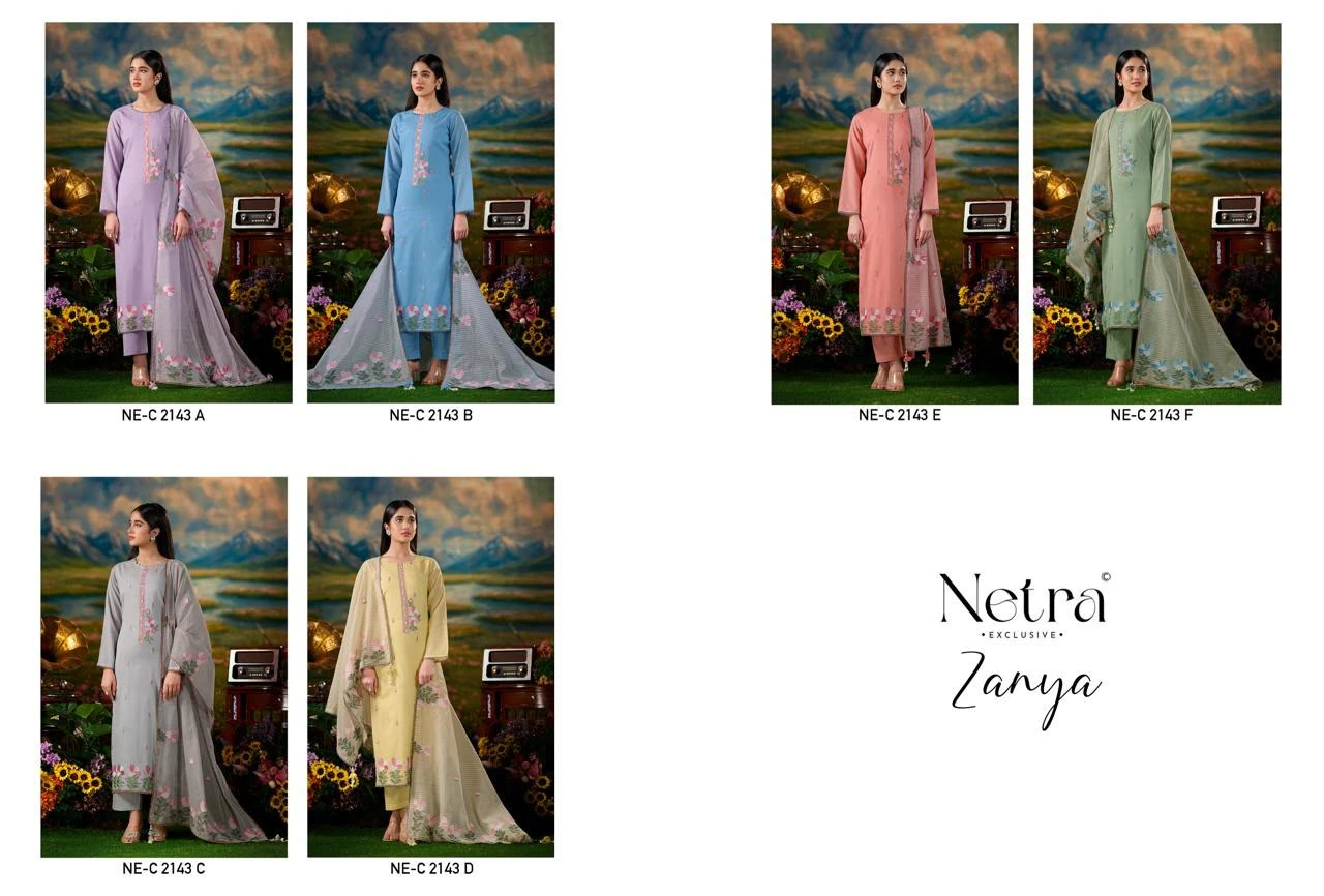 Netra Exclusive Zanya Banarasi Mul Chanderi Suit 14