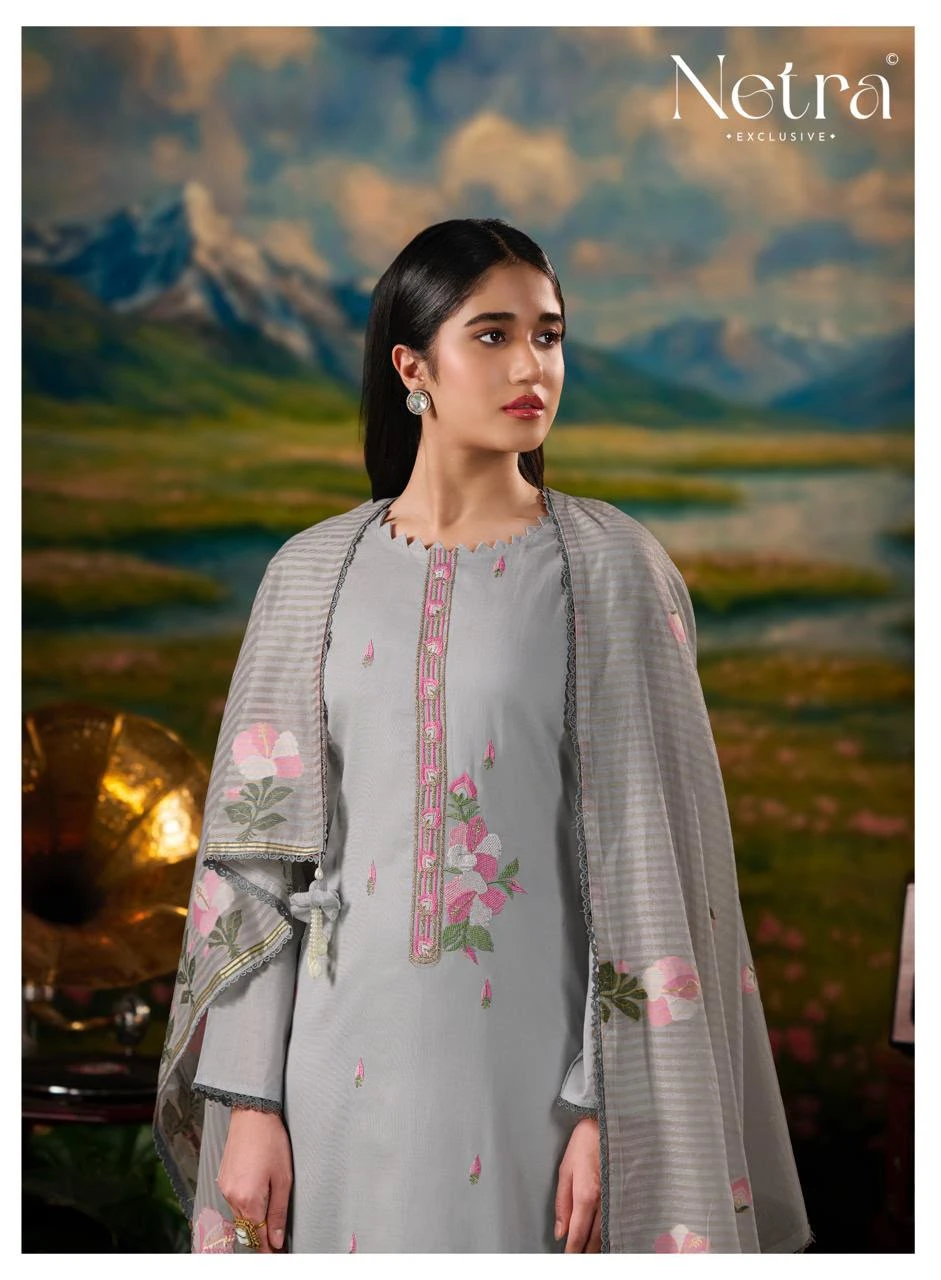 Netra Exclusive Zanya Banarasi Mul Chanderi Suit 6
