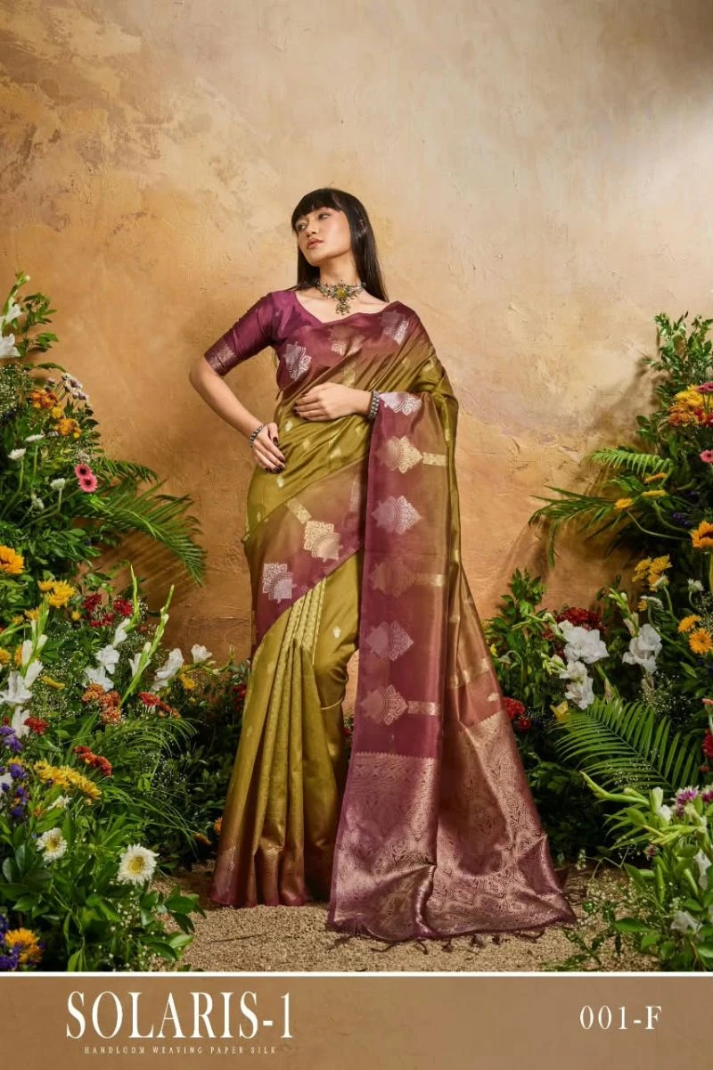 Rajtex Solaris Vol 1 Handloom Weaving Paper Silk Saree Collection 5