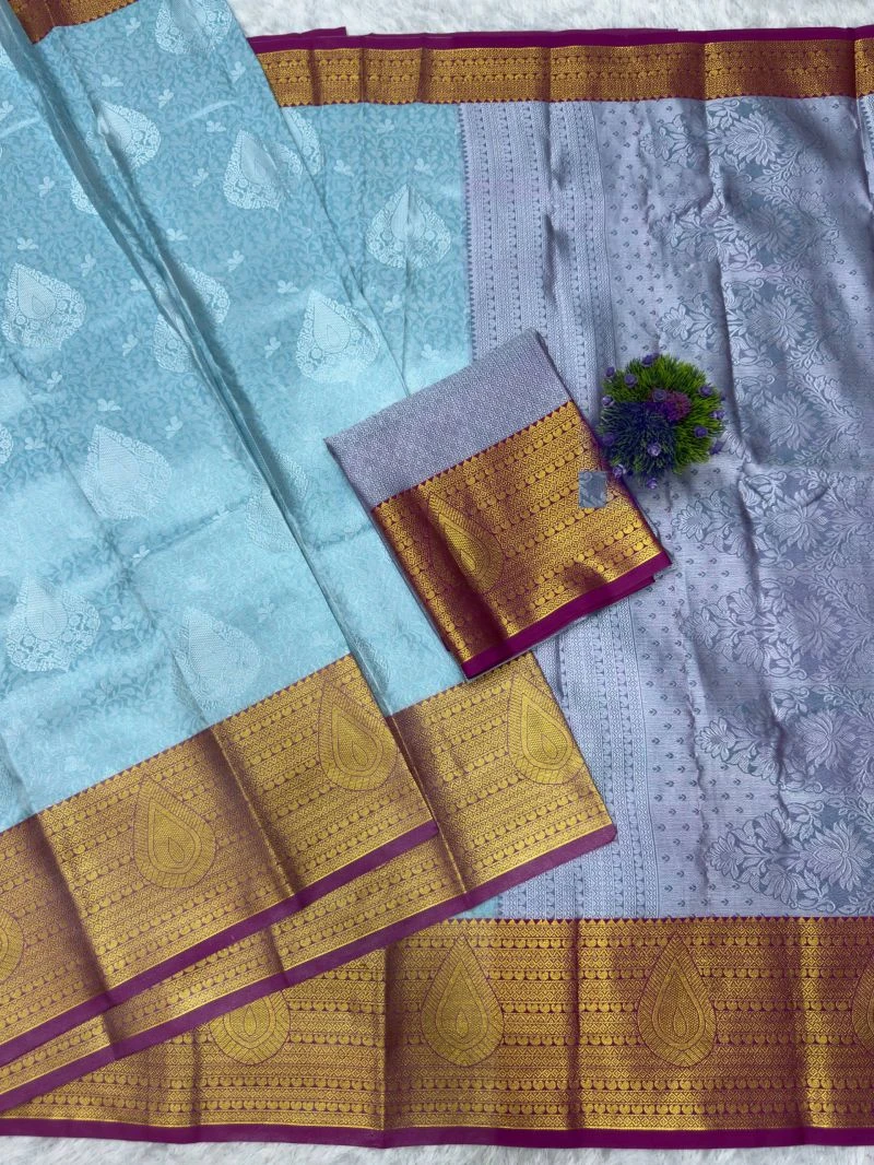 St D No 221 Jacquard Kanchi Pattu Semi Silk Saree Collection 3